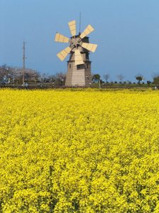 風車村